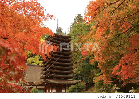 奈良県  談山神社  十三重塔と紅葉  (横向き) 71509111