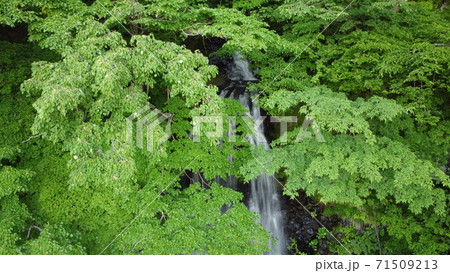 玉簾の滝(たますだれのたき) 玉簾の滝(たますだれのたき) 71509213