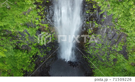 玉簾の滝(たますだれのたき) 玉簾の滝(たますだれのたき) 71509226