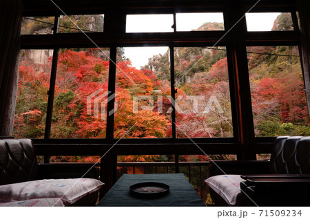 大分県中津市の耶馬渓（やばけい）の秋の紅葉風景 71509234