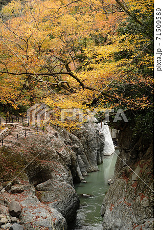 大分県の耶馬渓（やばけい）の魔林峡の秋風景 71509589