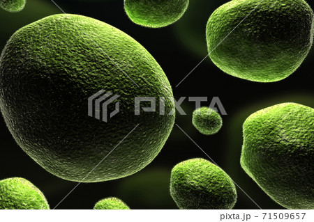 Bacteria Bacteria 71509657