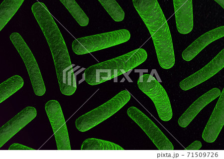 3d illustration of Bacteria.. 71509726