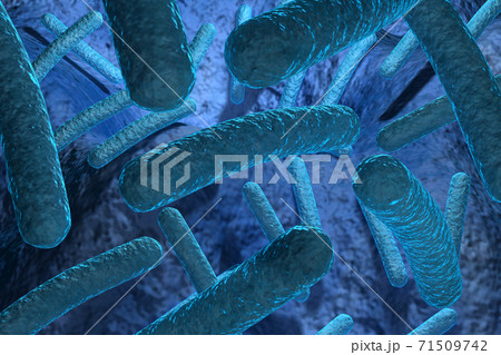 Bacteria.. 71509742