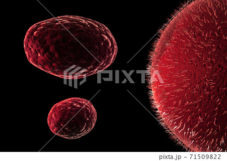 Viruses concept.. Viruses concept.. 71509822