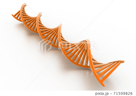 Dna stands. 71509826