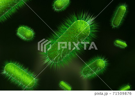 3d rendering of bacteria. 3d rendering of bacteria. 71509876