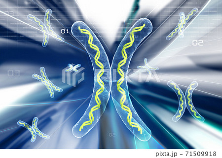 chromosome in abstract background 71509918