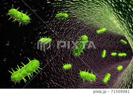 Viruses. 71509981