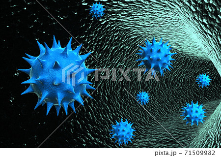 Virus 71509982