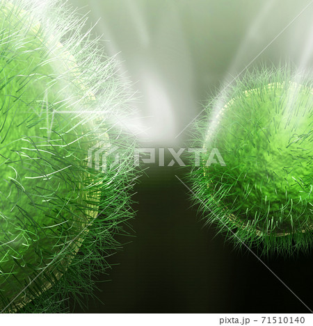 Digital illustration of viruses 71510140