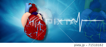 Digital illustration of human heart in medical background Digital illustration of human heart in medical background 71510162