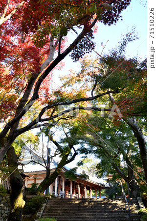 松尾寺　本堂へと続く参道　(和泉市松尾寺町) 71510226