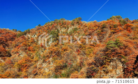 吾妻峡屏風岩の秋 吾妻峡屏風岩の秋 71510615