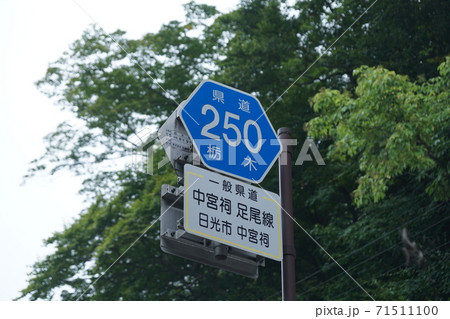 県道250号線の標識 71511100