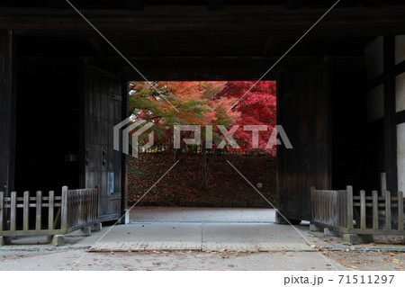 紅葉～弘前公園～ 71511297