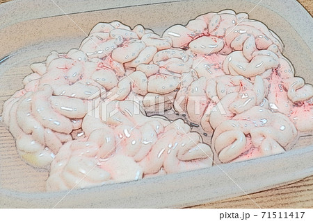 自宅での調理前の「真鱈の白子」色鉛筆画風 71511417