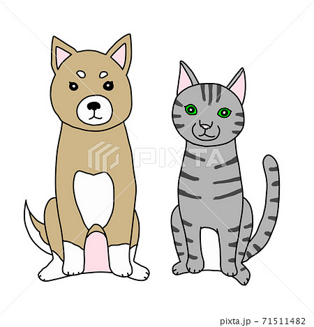 おすわりする犬と猫のイラストのイラスト素材