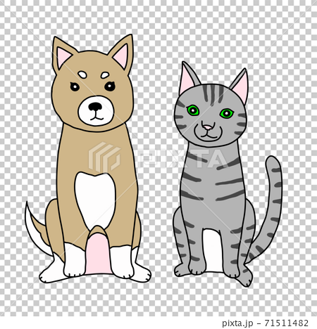 おすわりする犬と猫のイラストのイラスト素材