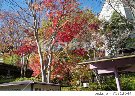 雲一つない晴天の秋の日、日光東照宮と共に歩んできた「鬼怒川温泉」へ早朝から行ってみた。 71512044