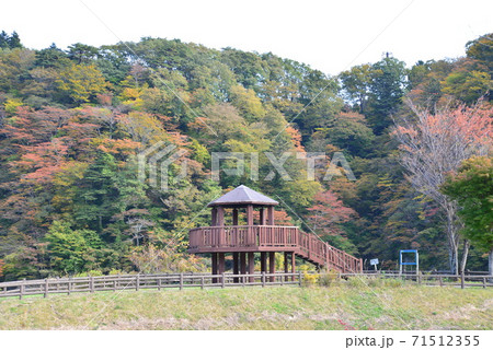 塩原の紅葉　　＃31 71512355