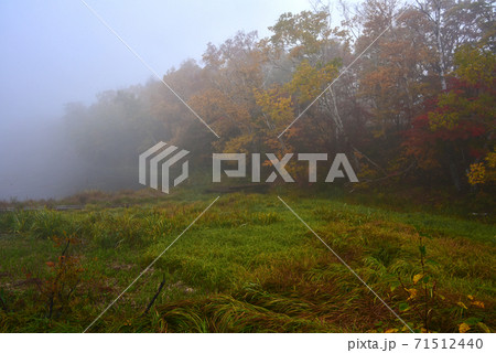 長野県 志賀高原の紅葉 長野県 志賀高原の紅葉 71512440