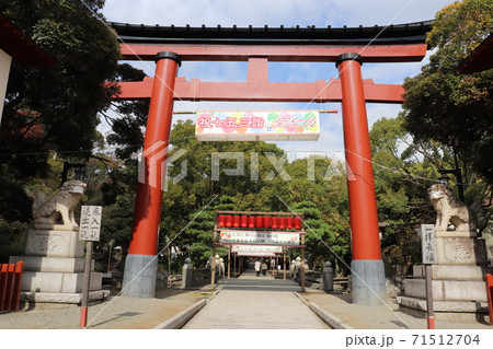平塚八幡宮 大鳥居 平塚市 神奈川県 平塚八幡宮 大鳥居 平塚市 神奈川県 71512704