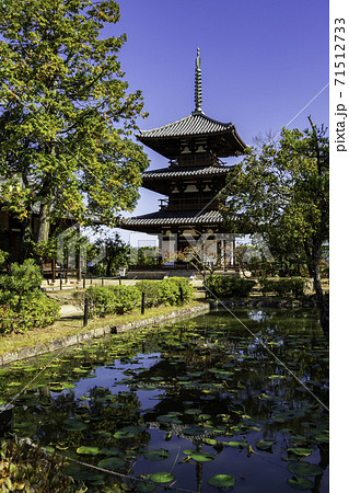 法起寺 三重塔 奈良県生駒郡斑鳩町 法起寺 三重塔 奈良県生駒郡斑鳩町 71512733