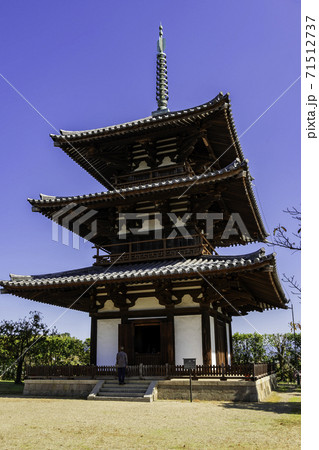 法起寺 三重塔 奈良県生駒郡斑鳩町 法起寺 三重塔 奈良県生駒郡斑鳩町 71512737