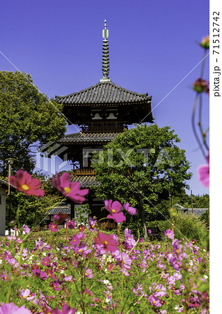 法起寺　三重塔　奈良県生駒郡斑鳩町 71512742