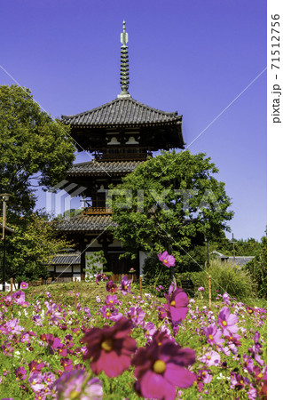 法起寺 三重塔 奈良県生駒郡斑鳩町 法起寺 三重塔 奈良県生駒郡斑鳩町 71512756