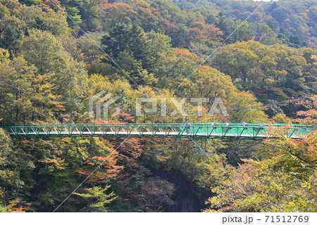 塩原の紅葉　　＃56 71512769