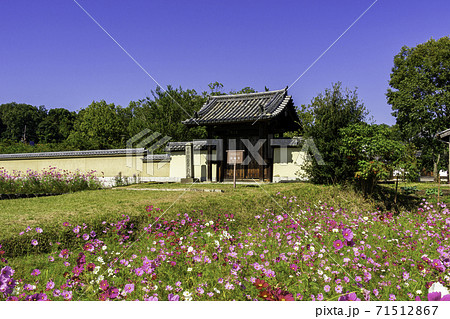 法起寺 南大門 奈良県生駒郡斑鳩町 法起寺 南大門 奈良県生駒郡斑鳩町 71512867