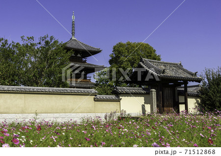 法起寺 南大門 奈良県生駒郡斑鳩町 法起寺 南大門 奈良県生駒郡斑鳩町 71512868