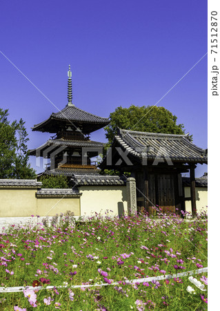 法起寺 南大門 奈良県生駒郡斑鳩町 法起寺 南大門 奈良県生駒郡斑鳩町 71512870