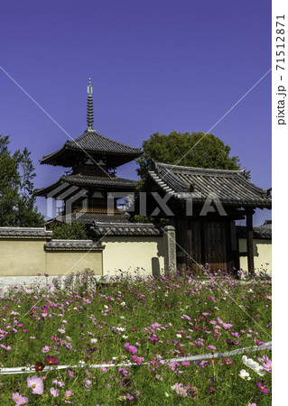 法起寺 南大門 奈良県生駒郡斑鳩町 法起寺 南大門 奈良県生駒郡斑鳩町 71512871