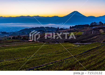 (山梨県)中野の棚田 富士山 晩秋 夜明け (山梨県)中野の棚田 富士山 晩秋 夜明け 71513132