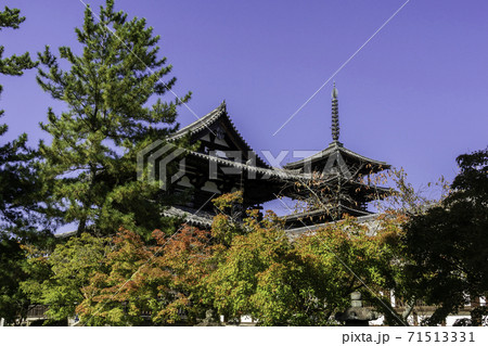 法隆寺 五重塔 奈良県生駒郡斑鳩町 法隆寺 五重塔 奈良県生駒郡斑鳩町 71513331