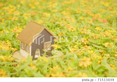 黄色いお花畑に囲まれた小さなかわいいおうち 黄色いお花畑に囲まれた小さなかわいいおうち 71513839