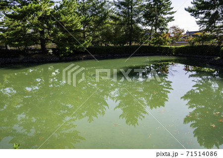 法隆寺 池 奈良県生駒郡斑鳩町 法隆寺 池 奈良県生駒郡斑鳩町 71514086