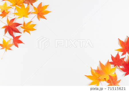 紅葉 もみじ フレーム 飾り枠の写真素材