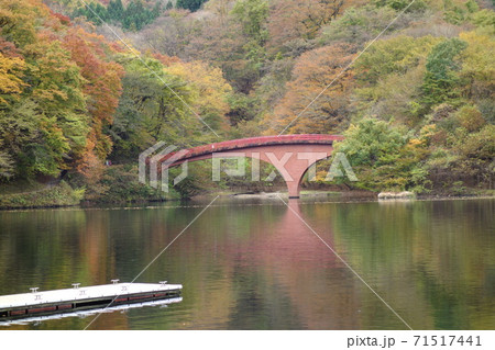 碓氷湖の紅葉 碓氷湖の紅葉 71517441
