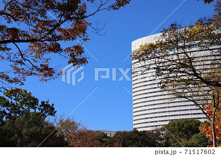 神戸市ポートアイランドで撮影 神戸市ポートアイランドで撮影 71517602