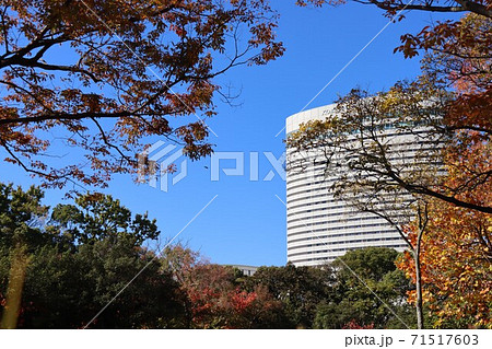 神戸市ポートアイランドで撮影 71517603