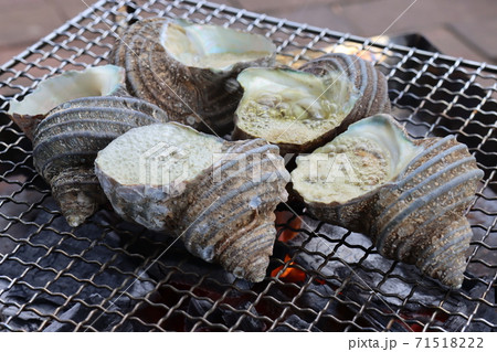 サザエのつぼ焼き 71518222