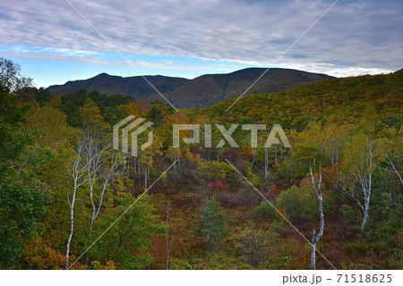 長野県 志賀高原の紅葉 長野県 志賀高原の紅葉 71518625