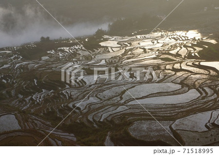 中国 雲南省の紅河ハニ棚田 秋 中国 雲南省の紅河ハニ棚田 秋 71518995