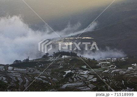 雲南省・元陽 多依樹エリア 紅河ハニ族棚田 早朝の景観 71518999