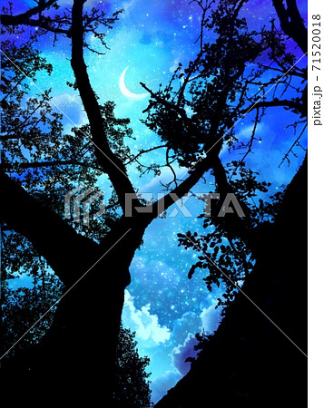 美しい星空に輝く三日月と下から見上げた木のシルエットのイラスト素材
