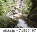 大峰　沢登り　小川谷　 71520497